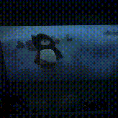 NordProjektor™ PRO