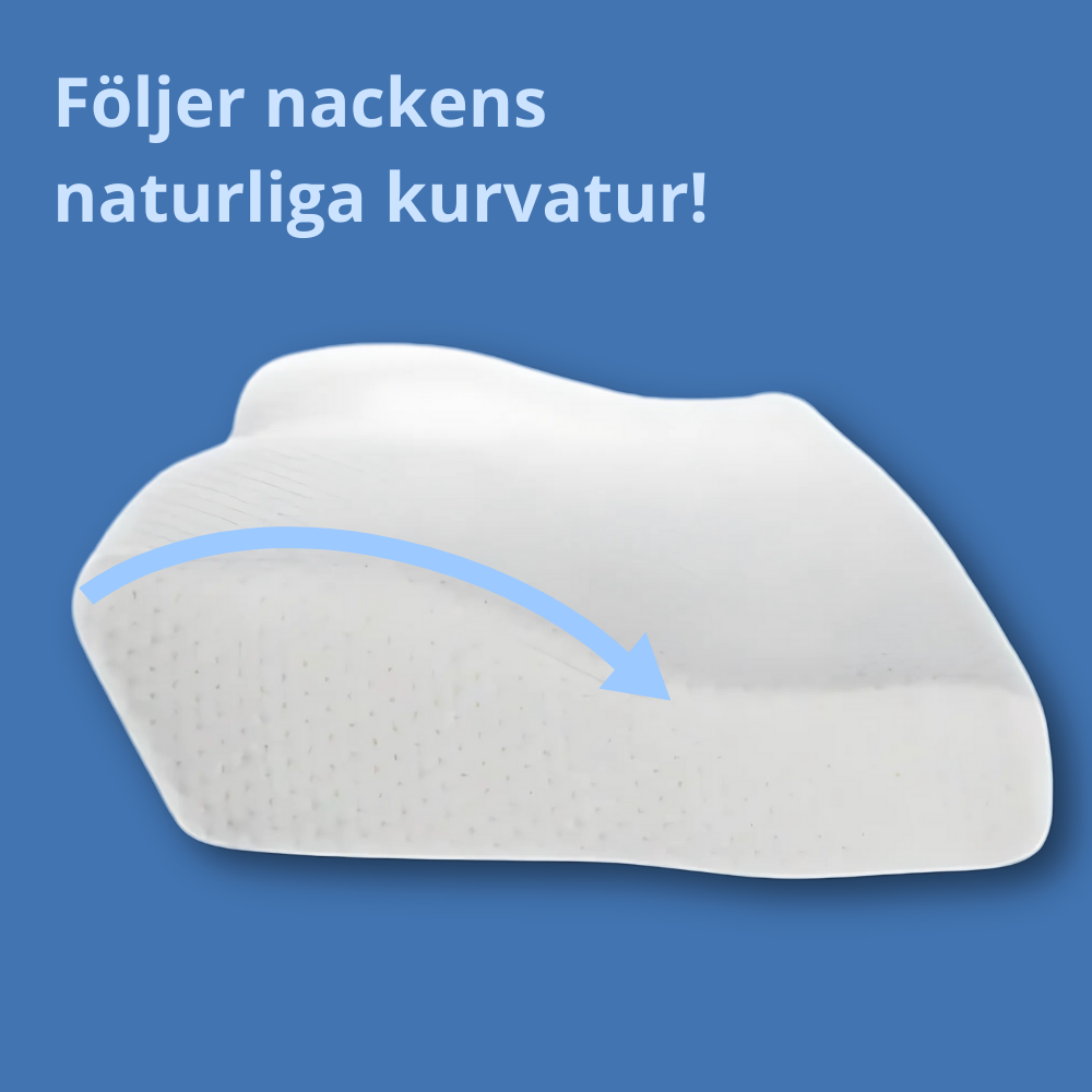 NorthPillow™ 2.0