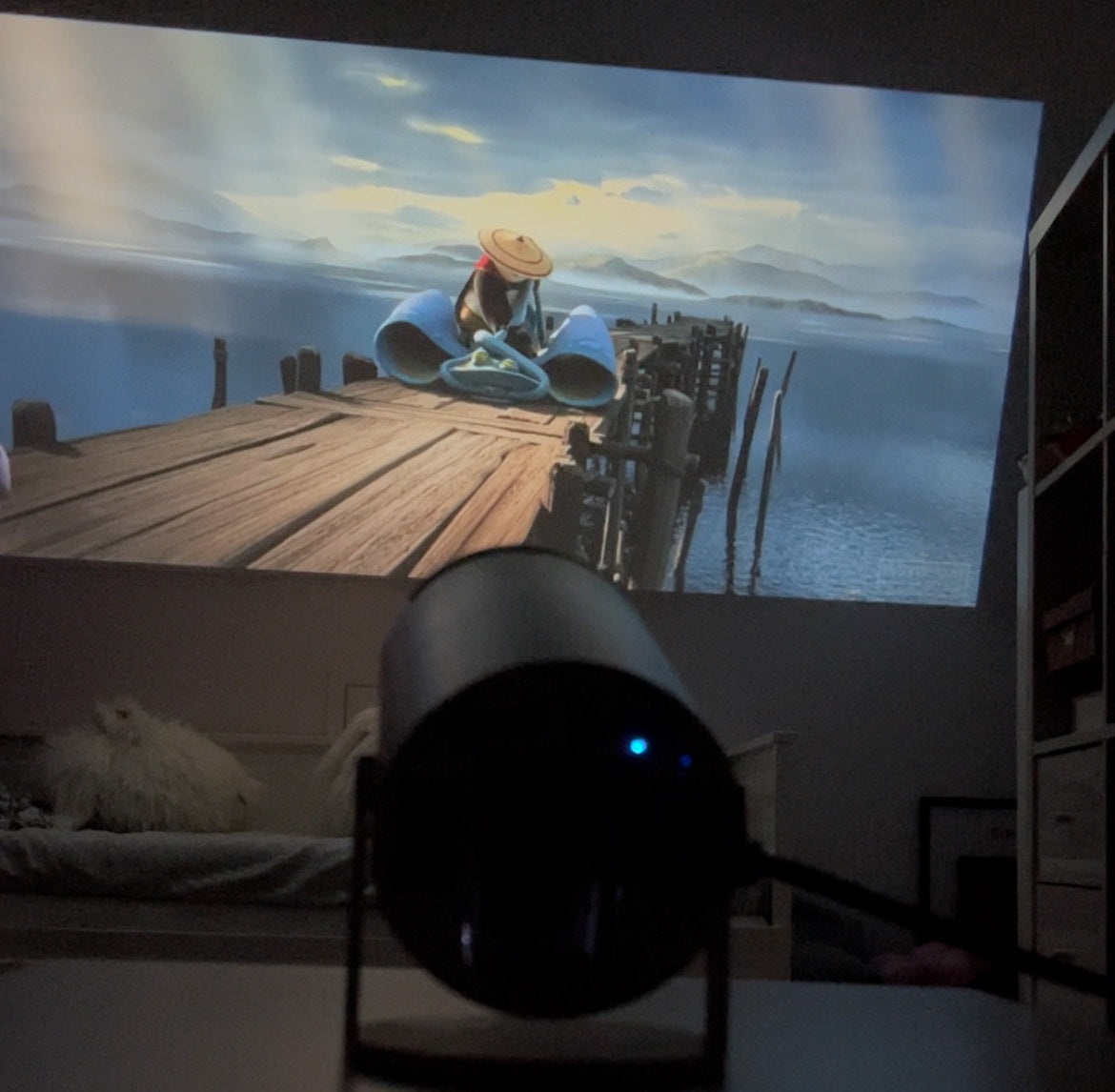 NordProjektor™ PRO